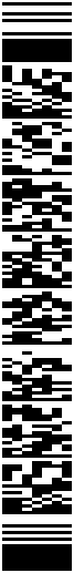 Vertical PDF417 barcode encoding the SF128-GS payload